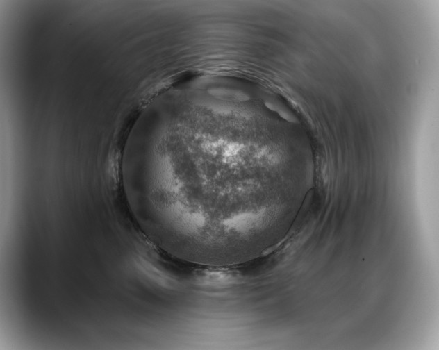 X0000088730475200705311432