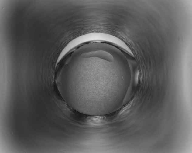 X0000088730479200705311432