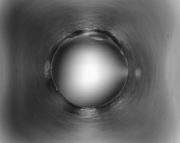 X0000088730480200705311432