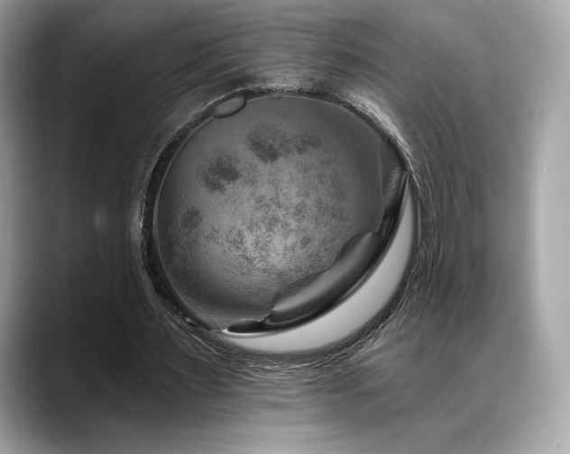 X0000088730483200705311432