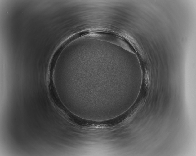 X0000088730484200705311432