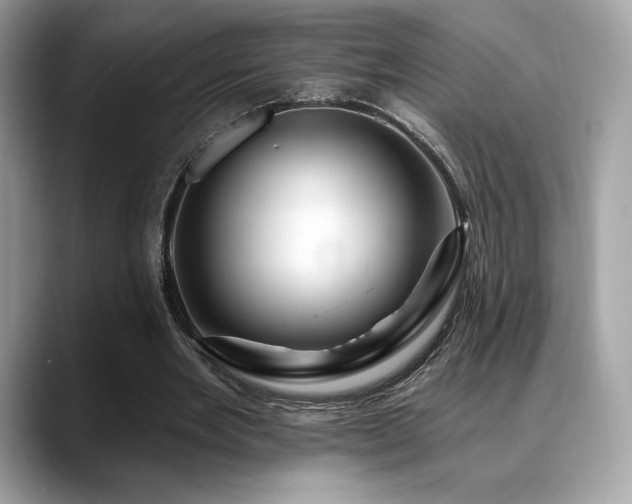 X0000088730485200705311432