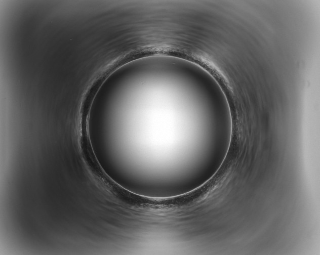 X0000088730486200705311432