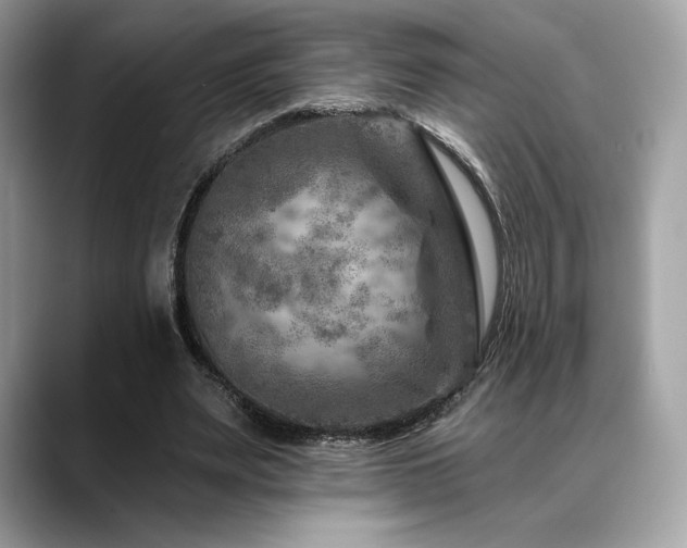 X0000088730487200705311432