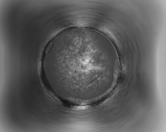 X0000088730488200705311432