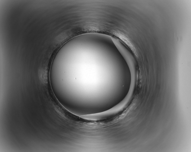 X0000088730489200705311432