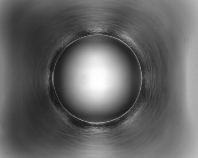 X0000088730490200705311431