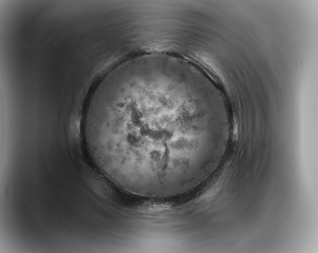 X0000088730491200705311431