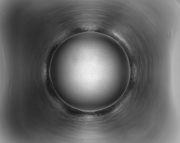 X0000088730494200705311431