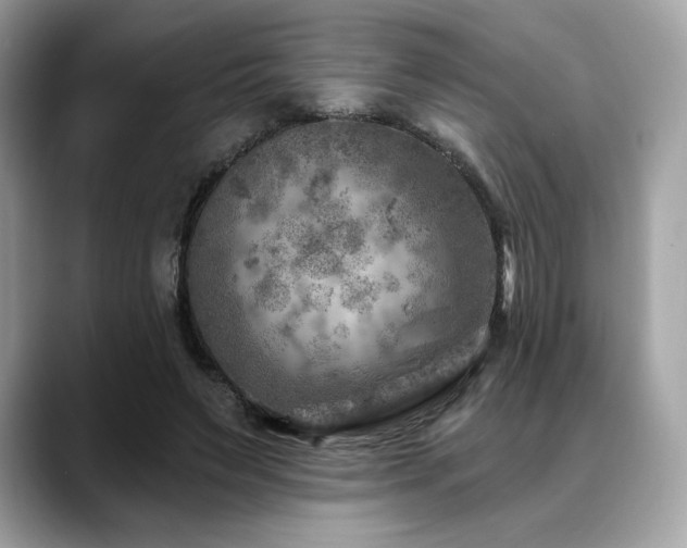 X0000088730495200705311431