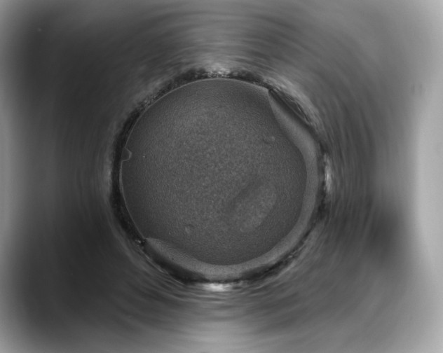 X0000088730496200705311431