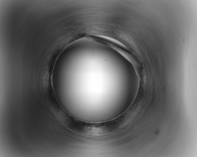 X0000088730498200705311431