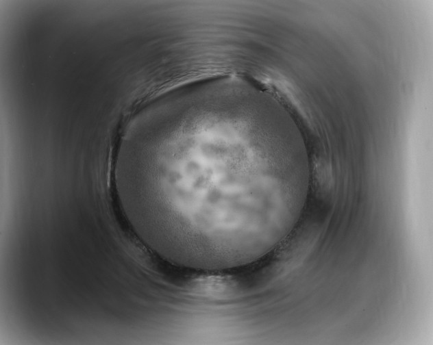 X0000088730499200705311431