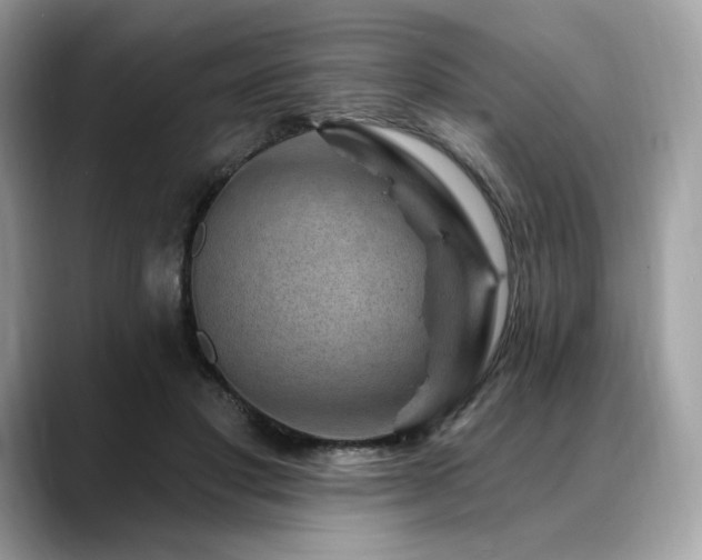 X0000088730501200705311431