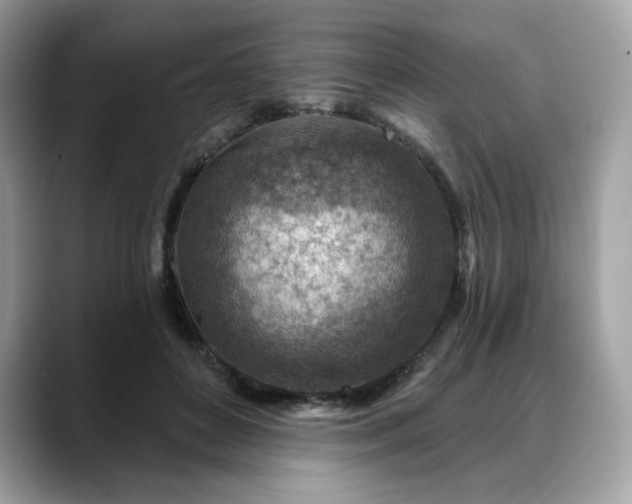 X0000088730504200705311431