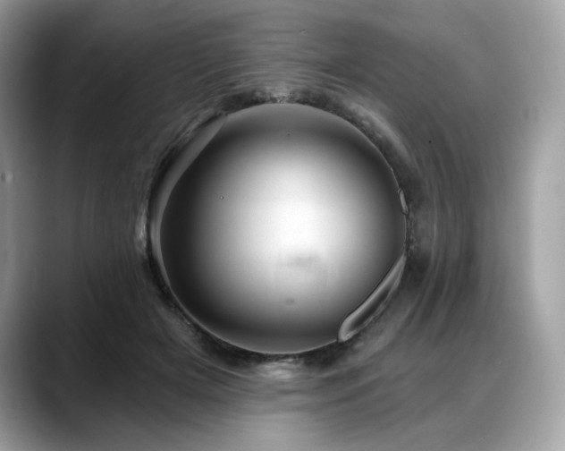 X0000088730505200705311431