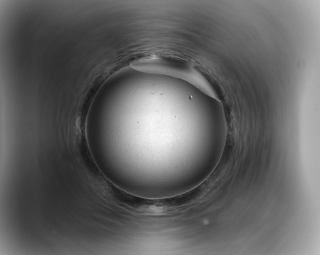 X0000088730506200705311431