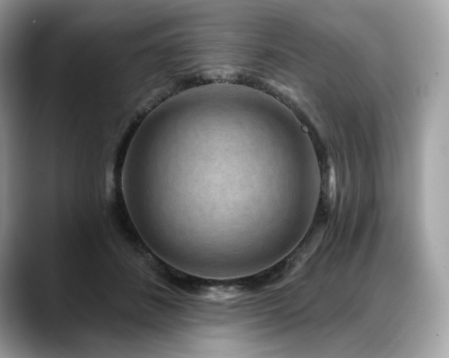 X0000088730508200705311431