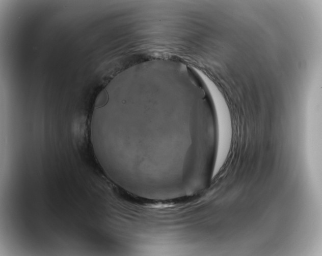 X0000088730511200705311431