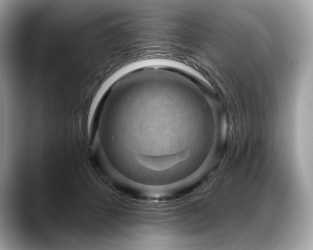 X0000088730512200705311431