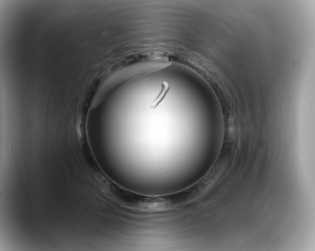 X0000088730514200705311431