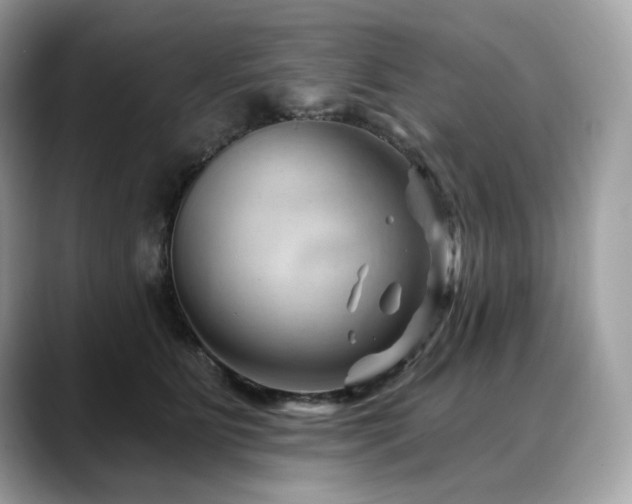 X0000088730515200705311431