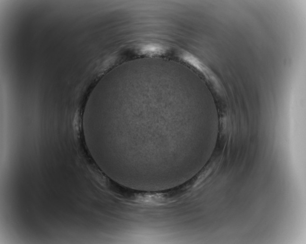 X0000088730517200705311431