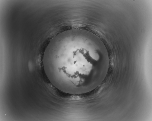 X0000088730519200705311431