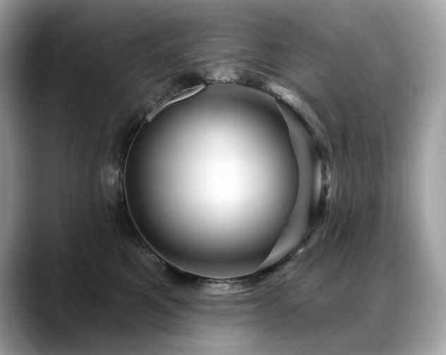 X0000088730521200705311431