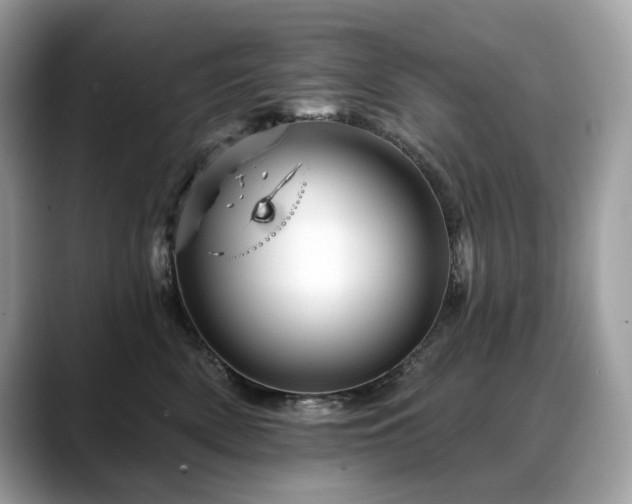 X0000088730522200705311431