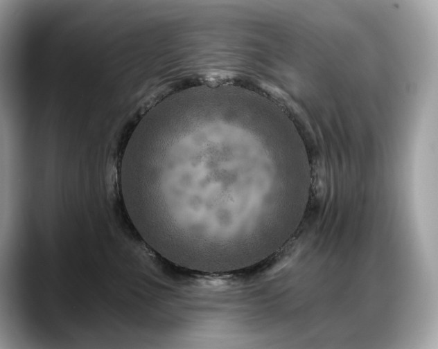 X0000088730523200705311431