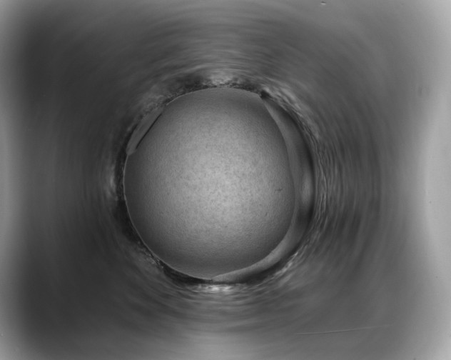 X0000088730524200705311431