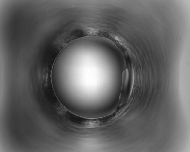 X0000088730525200705311431