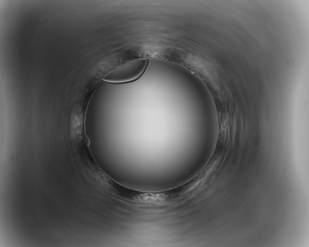 X0000088730526200705311431