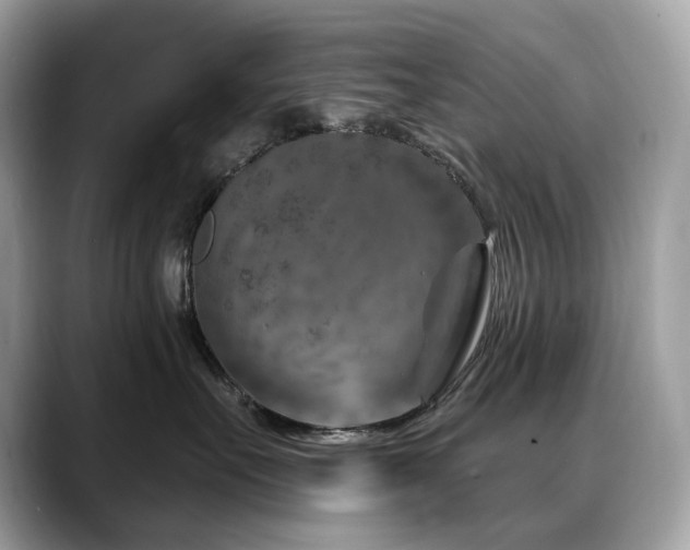 X0000088730527200705311431