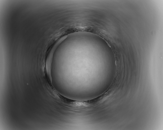 X0000088730528200705311431