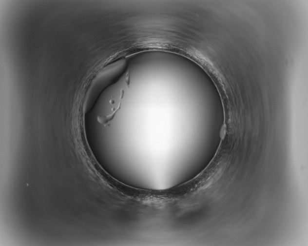 X0000088730529200705311430
