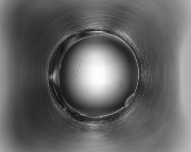 X0000088730530200705311431