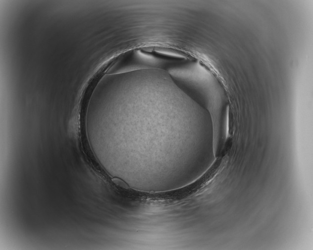 X0000088730531200705311431