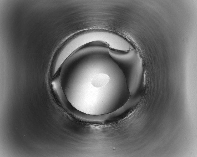 X0000088730532200705311431