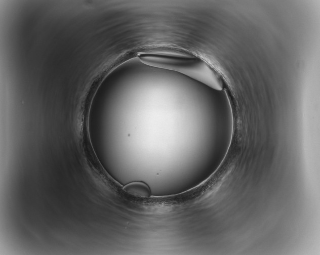 X0000088730533200705311431