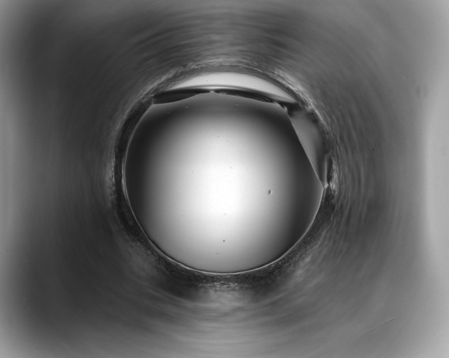 X0000088730535200705311431