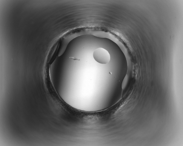 X0000088730536200705311431