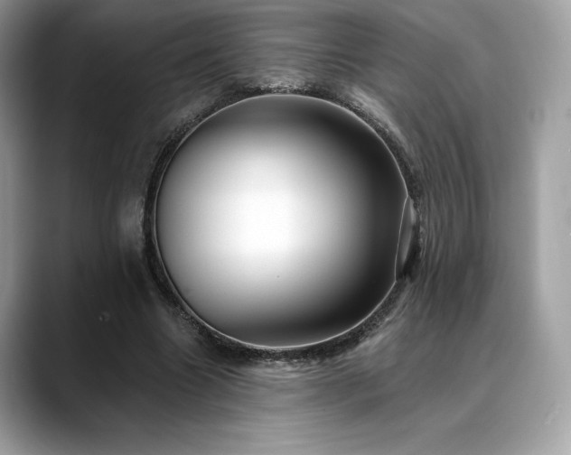 X0000088730538200705311431
