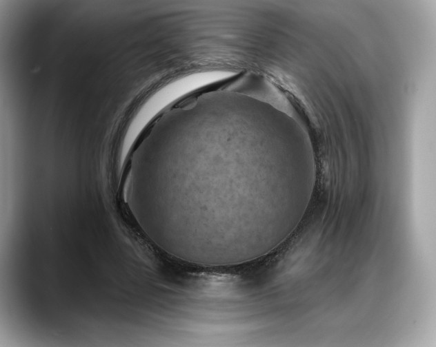 X0000088730539200705311431