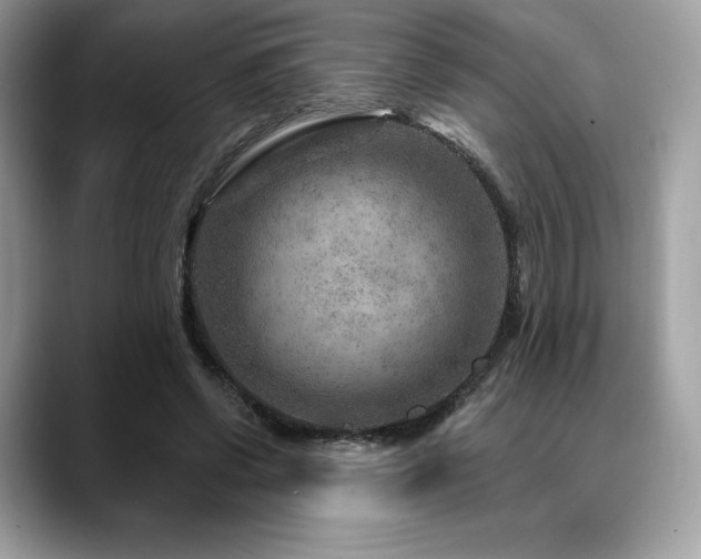 X0000088730542200705311431
