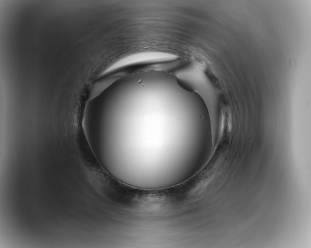 X0000088730546200705311431