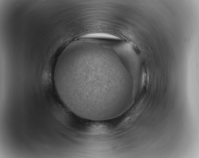 X0000088730547200705311431