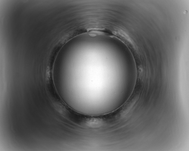 X0000088730549200705311431