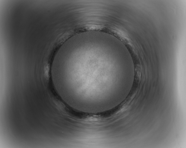 X0000088730550200705311431